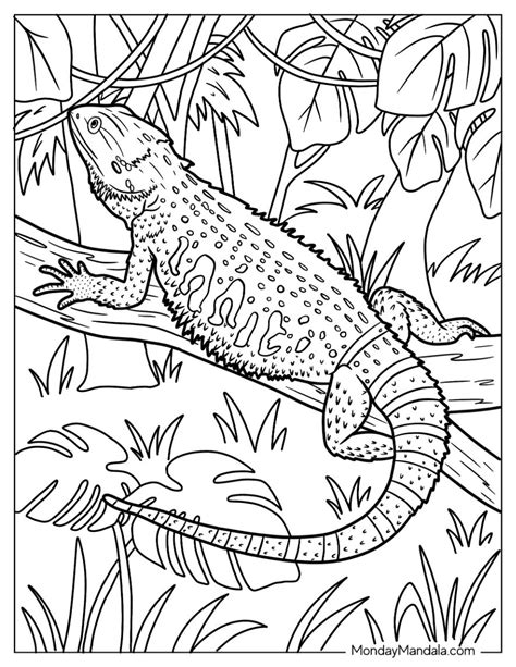 Adult Coloring Book Pages Free