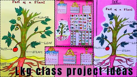 Lkg Student Project Images