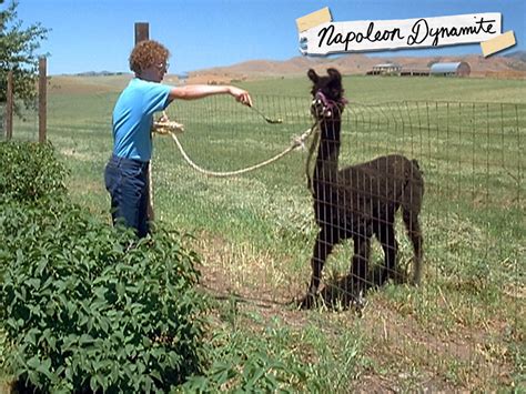 Llama on napoleon dynamite. Description. From Preston, Idaho, comes Napoleon Dynamite (Jon Heder), a new kind of hero complete with a tight red 'fro, some sweet moon boots, and skills that can't be topped. Napoleon lives with his Grandma (Sandy Martin) and his 31-year-old unemployed brother Kip (Aaron Ruell), who spends his days looking for love in internet chat rooms. 