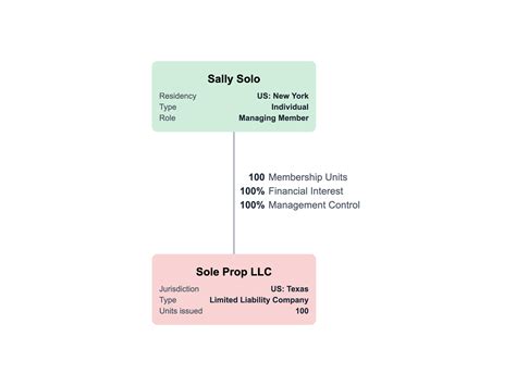 Llc Organizational Chart Example