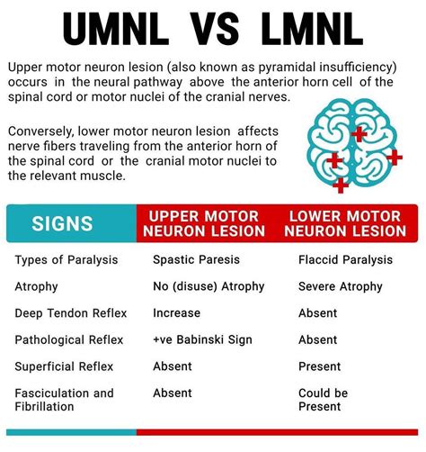 Lower motor neuron (LMN) syndromes typically present with muscle wasting and weakness and may arise from pathology affecting the distal motor nerve up to the level of the anterior horn cell. A variety of hereditary causes are recognised, including spinal muscular atrophy, distal hereditary motor neuropathy and LMN variants of familial motor …Web. 