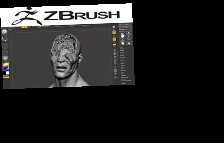Load ZBrush full version