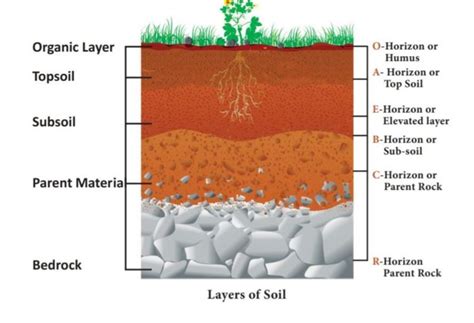 Loam Soils - an overview: ScienceDirect Topics