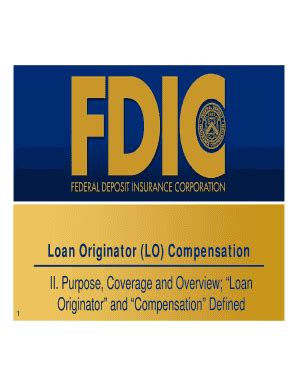 Loan Originator (LO) Compensation