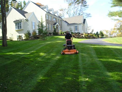 Local Experts in Making Richmond Lawns Green - Virginia Green Lawn Care