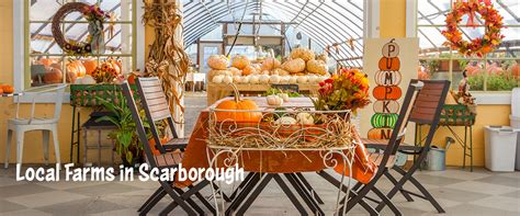 Local Farms – Visit Scarborough Maine