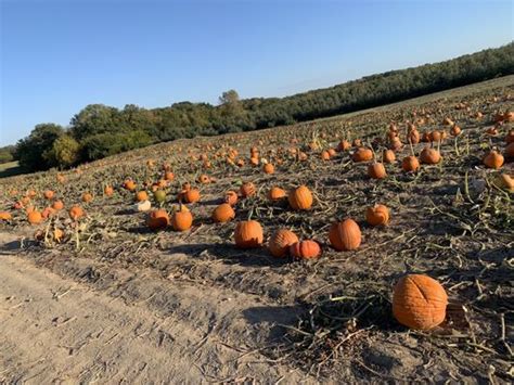 Local Farms near Grafton, IL - LocalHarvest