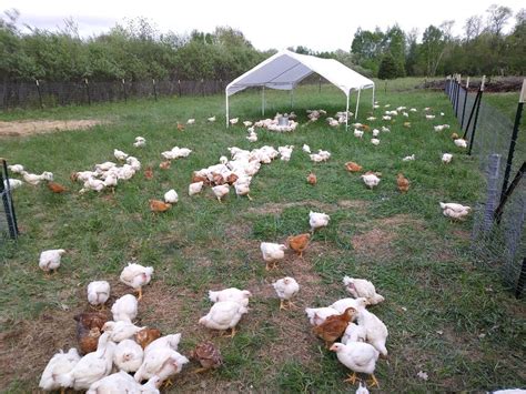 Local Farms near Waconia, MN - LocalHarvest