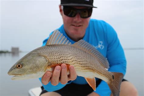 Local Waters Fishing Guide Brevard County Florida