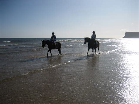 Local bridleways – Saltburn and District Bridleways Group