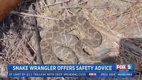 Local rattlesnake wrangler offers safety advice