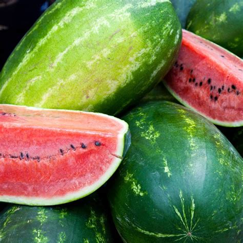 Local watermelons near East Peoria, IL - LocalHarvest