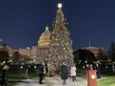 Locally-harvested Christmas tree on display at Colorado State Capitol