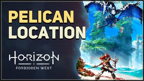 Locations Pelican