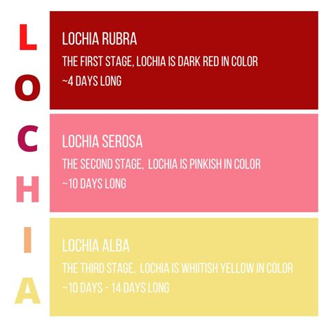 Lochia rubra: Definition, characteristics and FAQ