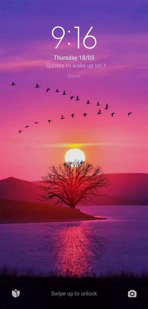 codini.rgarabwor.edu.pl. 