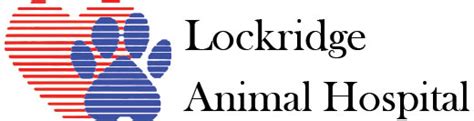 Lockridge animal hospital. Things To Know About Lockridge animal hospital. 