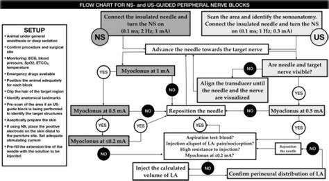 Locoregional Anesthesia of the Thoracic Limbs and Thorax in Small ...