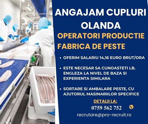 Locuri de munca anglia cupluri fabrica. .  <a href=https://drreality.isitegu...