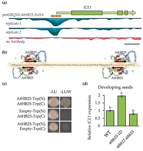 Locus: AT2G43900 - arabidopsis.org