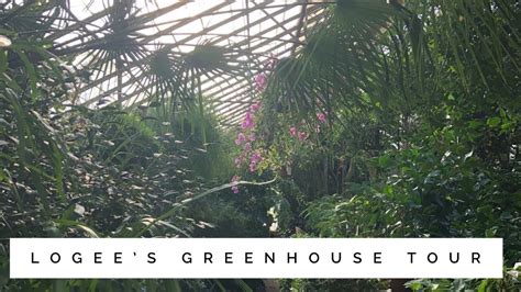 Logees - Browse Logee's Plants for Sale Founded in 1892, Logee's isn't your typical greenhouse or plant store . We offer a diverse selection of plants to meet all of your gardening needs, from New Plants and Rare Plant varieties to Tropical Plants and Cold Hardy options. 