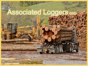 Logging Truck Associated Loggers