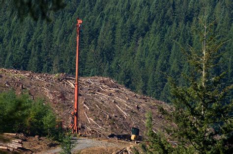 Logging tower for sale. . com&reg; has 19 homes for sale in Coral Ridge Towers East ...