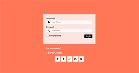 Login page example with Remember me Option