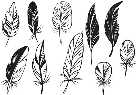 Logo Feather Vector Art, Icons, and Graphics for Free …