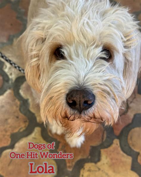 Lola Wonders Leaked (SEX) 🍑 164 Pics