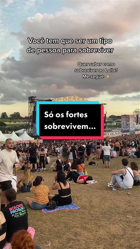 Lollabrasil Leaks XXX 245 Vids
