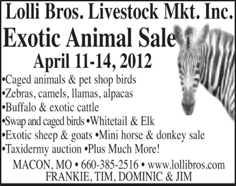 Lolli Brothers Livestock Market – Cattle Auction – Macon, MO (Tue) (pdf) Lolli Brothers Livestock Market – Replacement Cattle Special – Macon, MO (Seasonal) (pdf) Mid Missouri Stockyards – Cattle Auction – Phillipsburg, MO (Thu) (pdf) . 