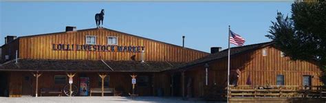 Lolli Brothers Livestock Market - Macon, MO AMS Livestock, Poultry, & Grain Market News Missouri Dept of Ag Mrkt News Tue Feb 11, 2020 Email us with accessibility issues with this report. 8 920-1155 1064 48.00-56.00 52.96 Average 1 915 915 57.50 57.50 High 7 835-1090 1001 40.00-45.00 42.40 Low. 