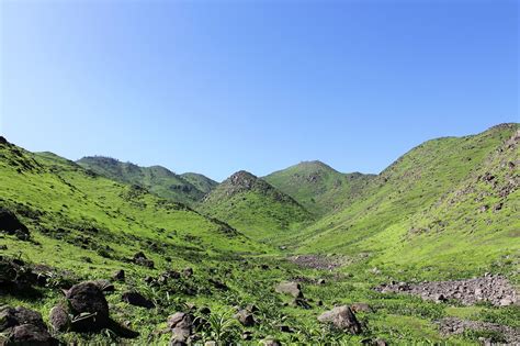 Profile picture of Loma Zulauf