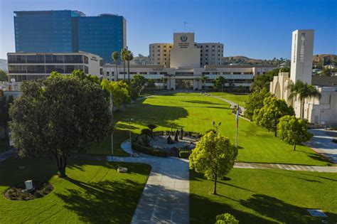 Email Address. Phone Number. Password ... The MyLLU portal is a web resource for all entities of Loma Linda University Health. Loma Linda University Health; . 