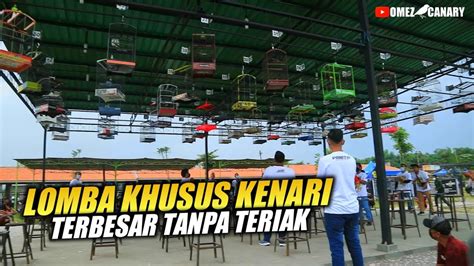 Lomba Kenari - BELAJAR