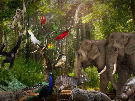 Lombok wildlife park map.  We are using specific methods designed Spend time...