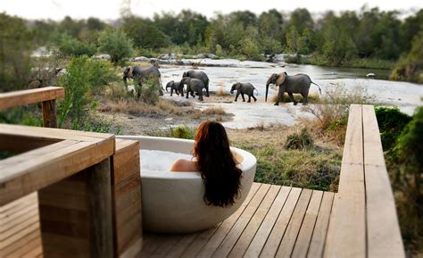 Londolozi. Londolozi combines luxury and conservation for an unforgettable African safari experience. Personifying the Zulu meaning "Protector of all things". 
