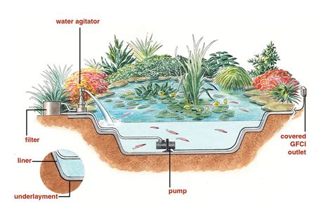 London Pond Installer - Pond Builders