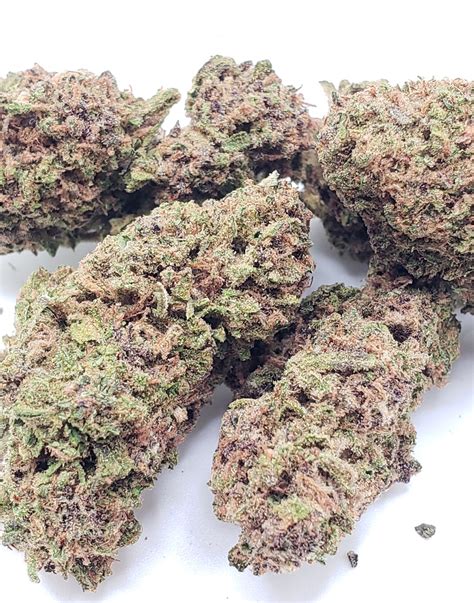 London Bridge F3 – 10 Regular Seeds Per Pack. Lineage: London Bridge F2 x London Bridge F2. Family: Indica leaning hybrid. In stock. Purchase this product now and earn …. 