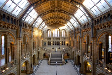London museums. Natural History Museums • Art Museums. By 463jamiem. I found the natural history and anthropology really interesting and well presented, really a jewel in South London. 15. Guildhall Art Gallery. 465. Art Galleries • Art Museums. City of London. By 813hilaryd. 