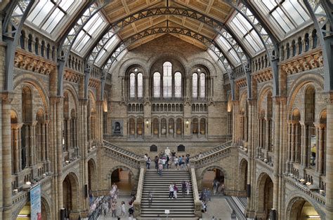  The Natural History Museum, London is home to over 80 million natural history specimens ranging from spiders and giant squid to dinosaur bones, mosses and meteorites. You can see many on display ... 