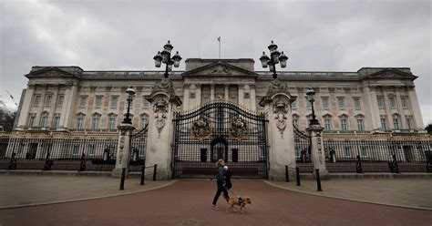 London police arrest a man who allegedly climbed over a wall near Buckingham Palace stables