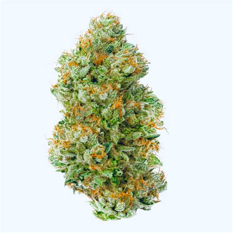 London pound cake strain. London Pound Mints, created by crossing London Pound Cake #75 and Kush Mints #11, hits just as hard as the namesake suggests. If you are looking for a deep, potent indica experience, lose yourself ... 