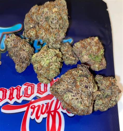 LONDON TRUFFLE 0$ + London Truffle Hybrid Strain London Truffle is a mesmerizing hybrid strain, masterfully crafted by Tiki Madman as a cross between the delectable White Truffle and the iconic London Pound Cake. This cultivar produces breathtaking buds t. PRODUCTS; Growers .. 
