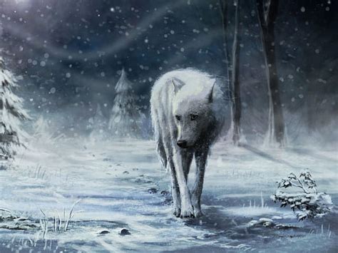 Lone Wolf Snow White
