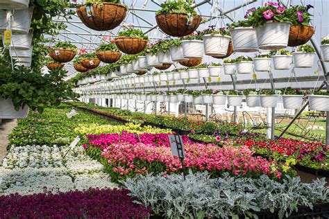 Lone pine greenhouse. Greenhouses are efficient ways to grow plants and flowers even when the weather is cold, as the enclosures keep plants warm and moist. DIY greenhouse plans and kits help you build ... 