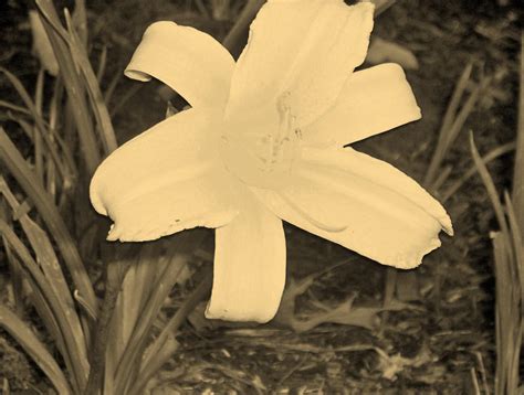 Lonelygirl3 Onlyfans Leaked XXX 💋 33 Pics