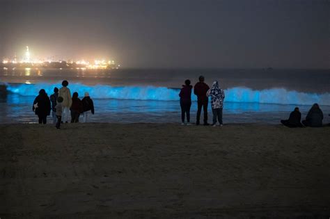 Long Beach gets rare waves with mega swell — and they glowed at night