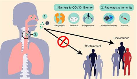 Long COVID research: A pre-pandemic common cold coronavirus infection could explain why some patients develop long COVID